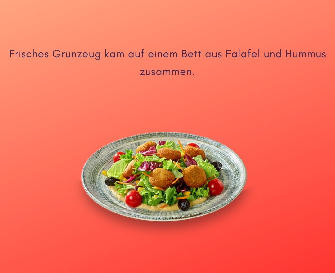 Hummus Falafel Salat